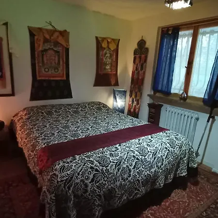 Butterfly Castrocaro Terme