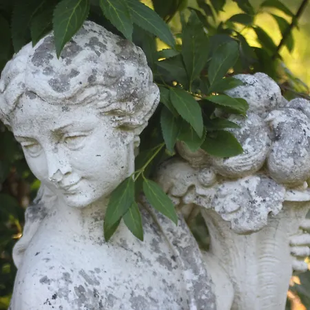 Butterfly Bed & Breakfast