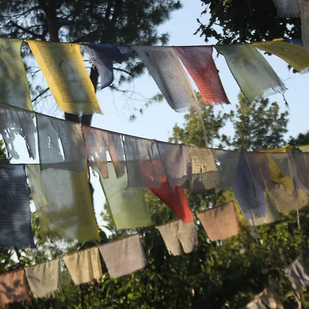 Bed & Breakfast Butterfly 3*