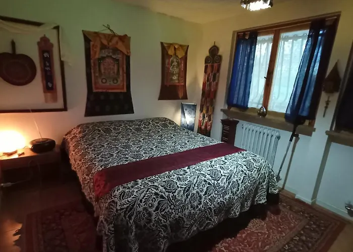 Butterfly Castrocaro Terme