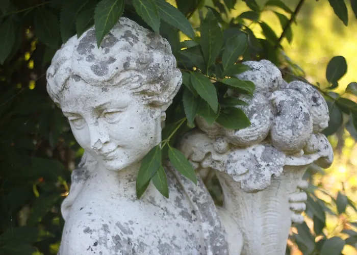 Butterfly Bed & Breakfast