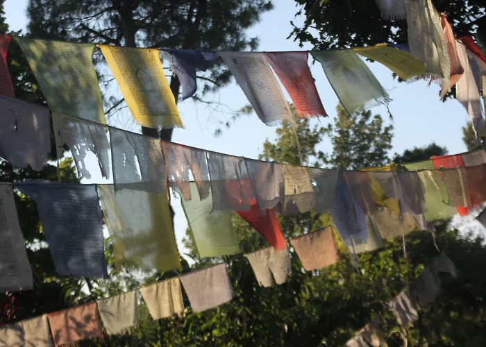 Bed & Breakfast Butterfly 3*