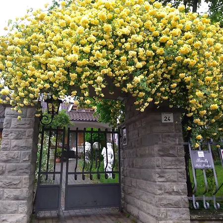 Butterfly ベッド・アンド・ブレックファスト 3*