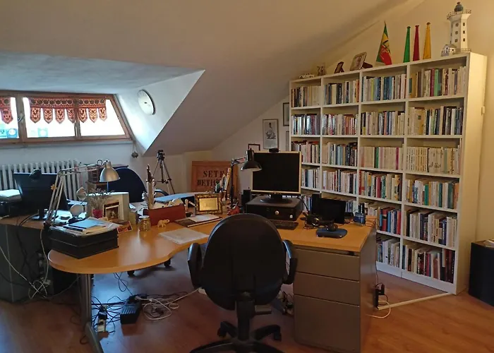 Butterfly 卡斯特罗卡罗泰尔梅